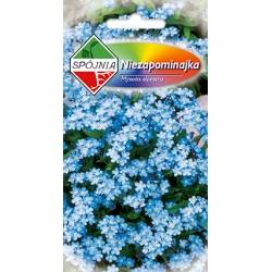 Niezapominajka-leśna-niebies-a-0.5g-ST